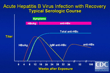 Hepatitis-Chart