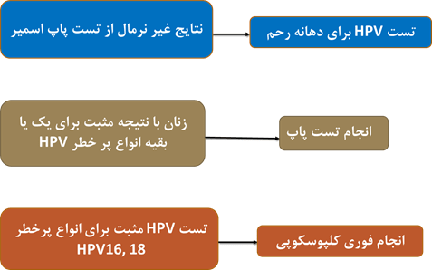 HPV-07-min