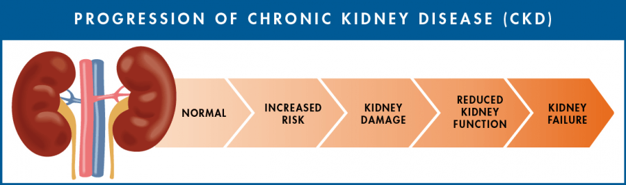 Progression of Chronic Kidney