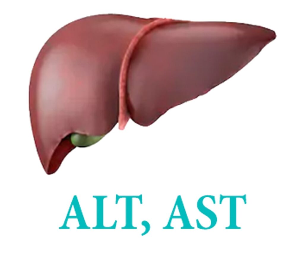 AST-ALT-Thubnail